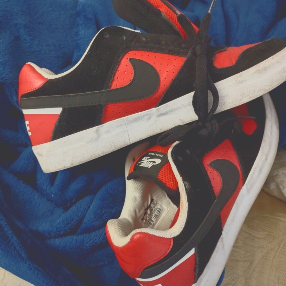 Nike SB JORDANS